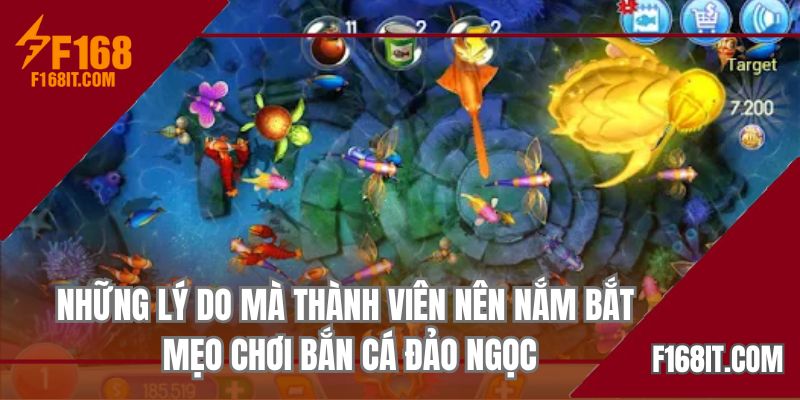 Những lý do mà thành viên nên nắm bắt mẹo chơi bắn cá đảo ngọc