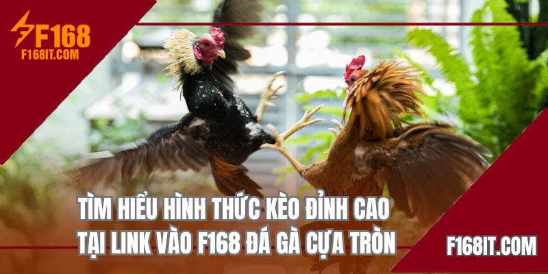 Tìm hiểu hình thức kèo đỉnh cao tại link vào F168 đá gà cựa tròn