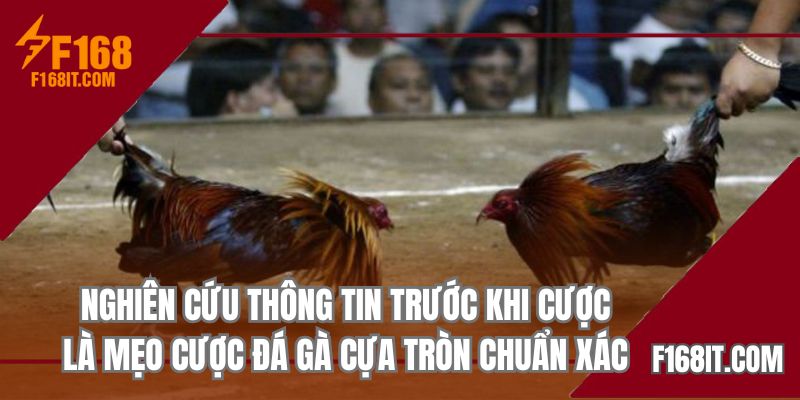 Nghiên cứu thông tin trước khi cược là mẹo cược đá gà cựa tròn chuẩn xác