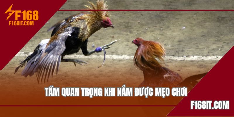 Tại sao người dùng nên có cho mình bí kíp để đặt tiền